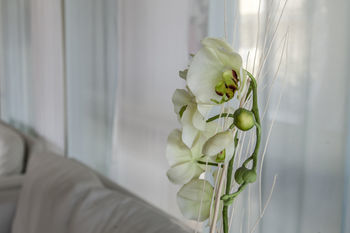 Concorde Hotel 3*